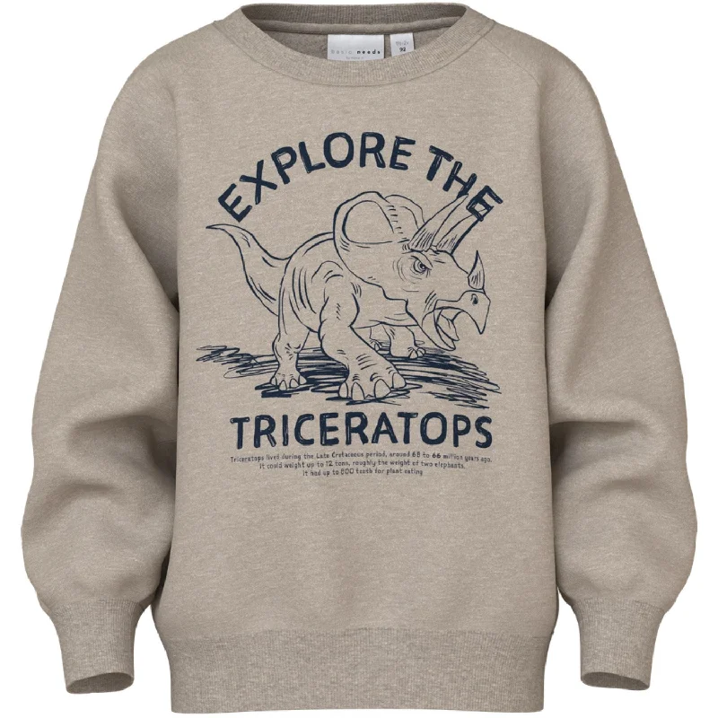 Name It Pure Cashmere Triceratops Vion Regular Sweatshirt